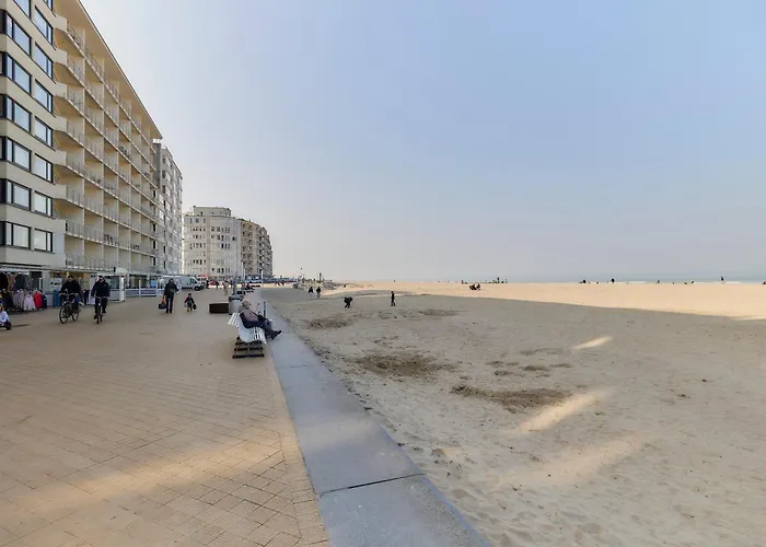 Lecomte - The Shoreline Exclusive *